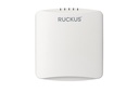 RUCKUS R350